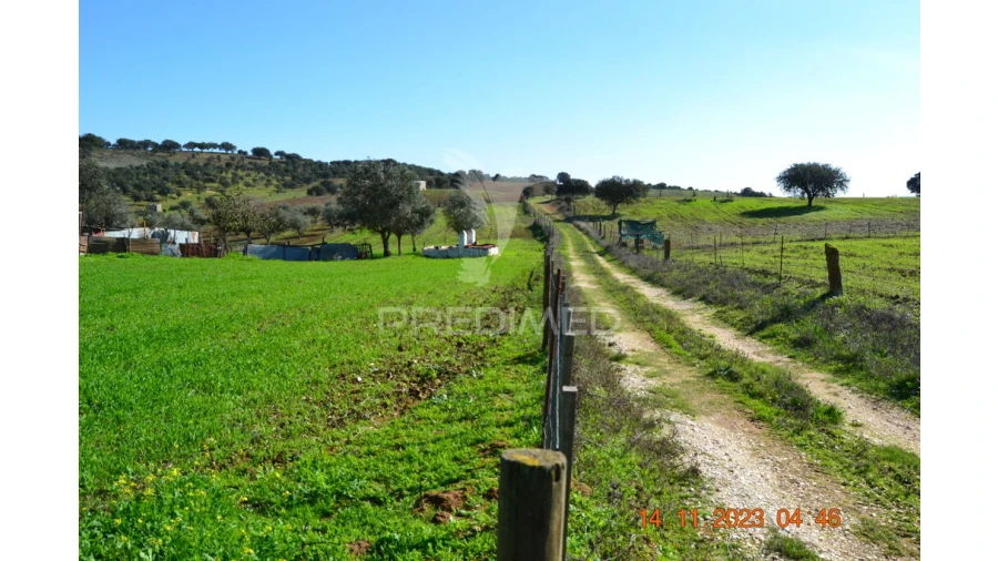 Quinta T4 para Venda em Pardais Foto 6