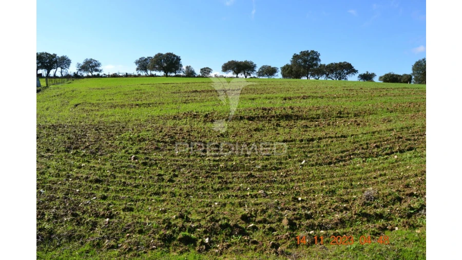 Quinta T4 para Venda em Pardais Foto 11