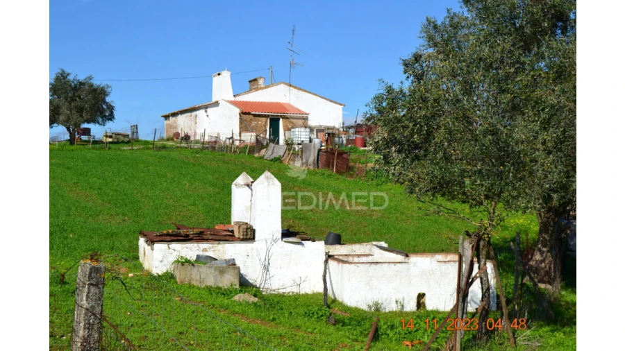 Quinta T4 para Venda em Pardais Foto 10