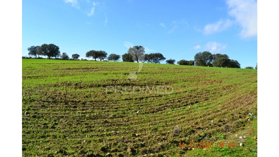 Quinta T4 para Venda em Pardais Foto 12