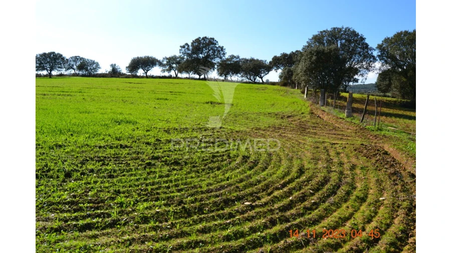 Quinta T4 para Venda em Pardais Foto 3