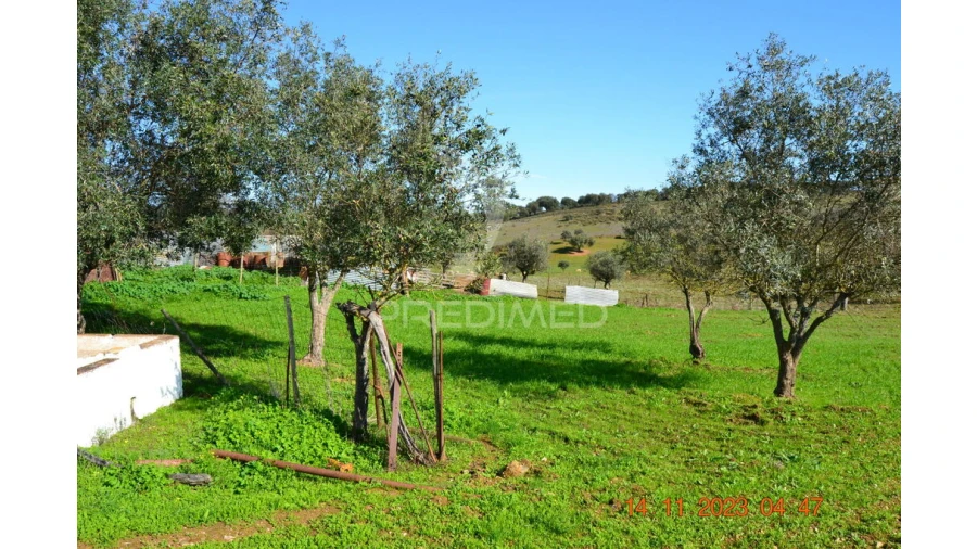 Quinta T4 para Venda em Pardais Foto 7