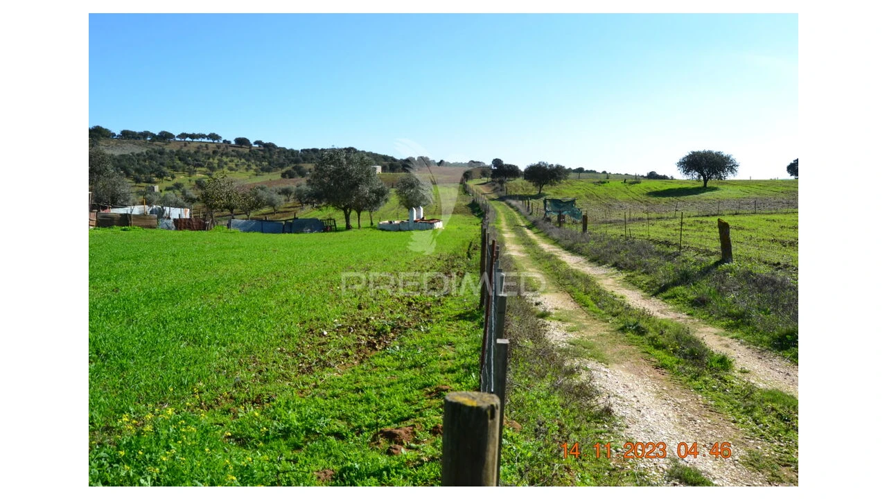 Quinta T4 para Venda em Pardais Foto 6