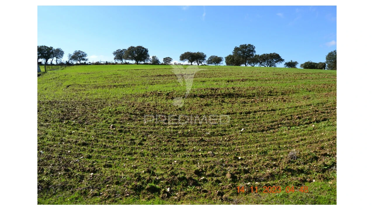 Quinta T4 para Venda em Pardais Foto 11