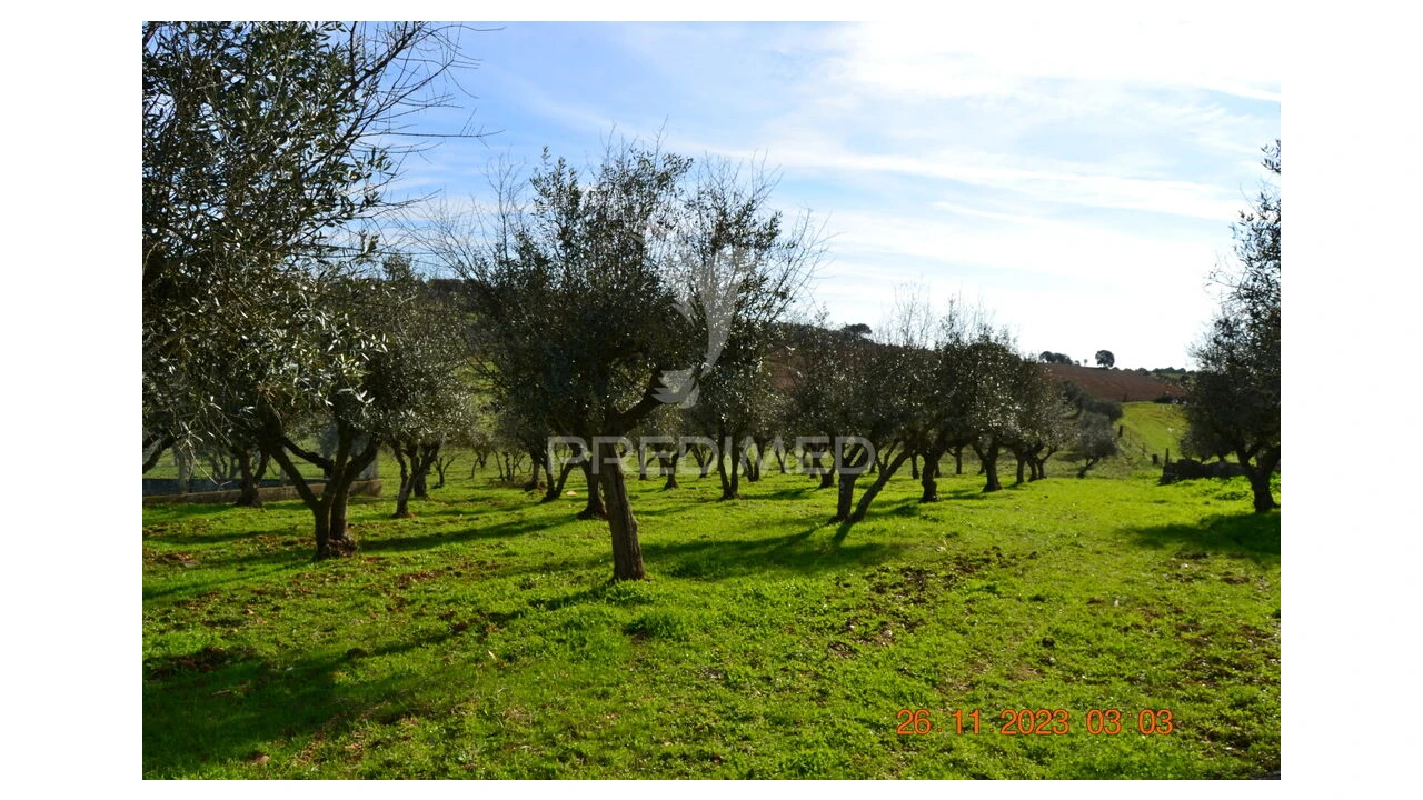 Quinta T4 para Venda em Pardais Foto 14