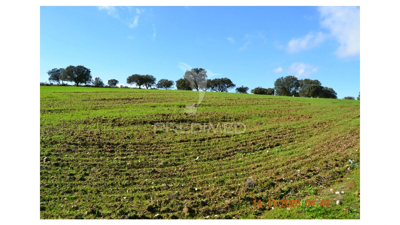Quinta T4 para Venda em Pardais Foto 12