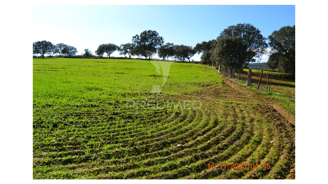 Quinta T4 para Venda em Pardais Foto 3