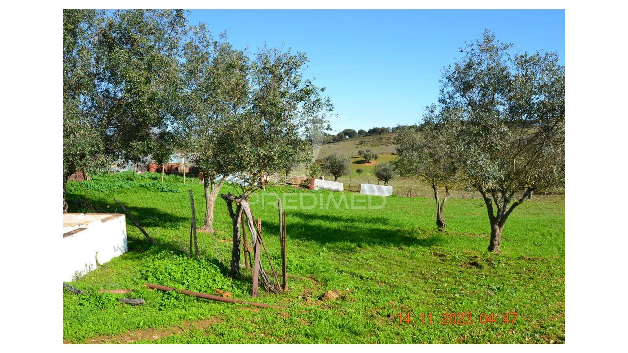 Quinta T4 para Venda em Pardais Foto 7