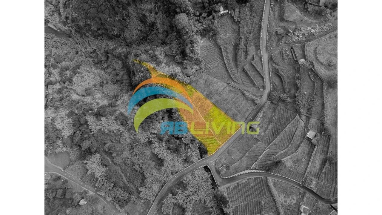 Terreno para Venda em Arco de São Jorge Foto 4