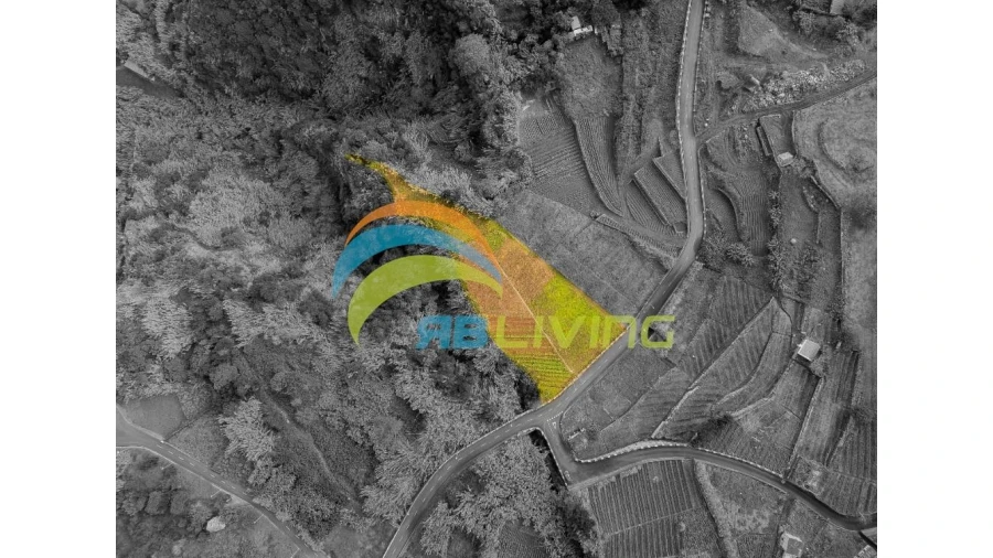 Terreno para Venda em Arco de São Jorge Foto 4