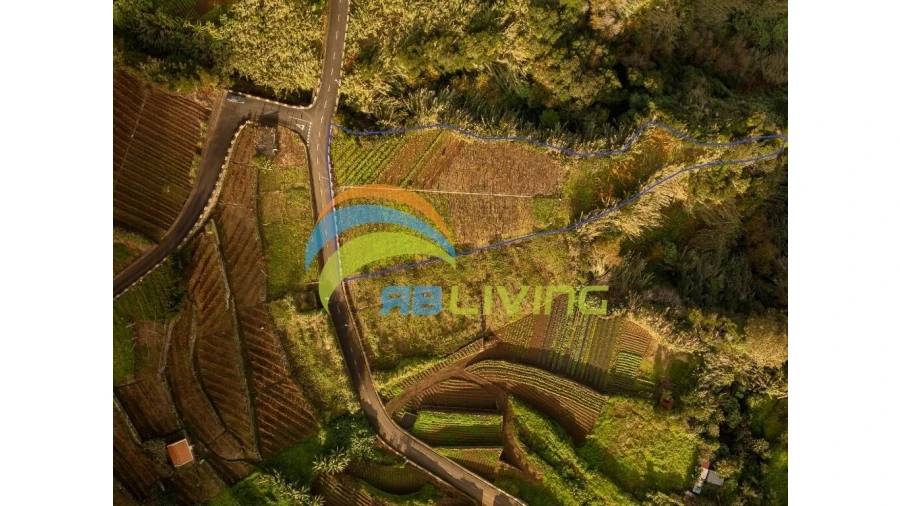 Terreno para Venda em Arco de São Jorge