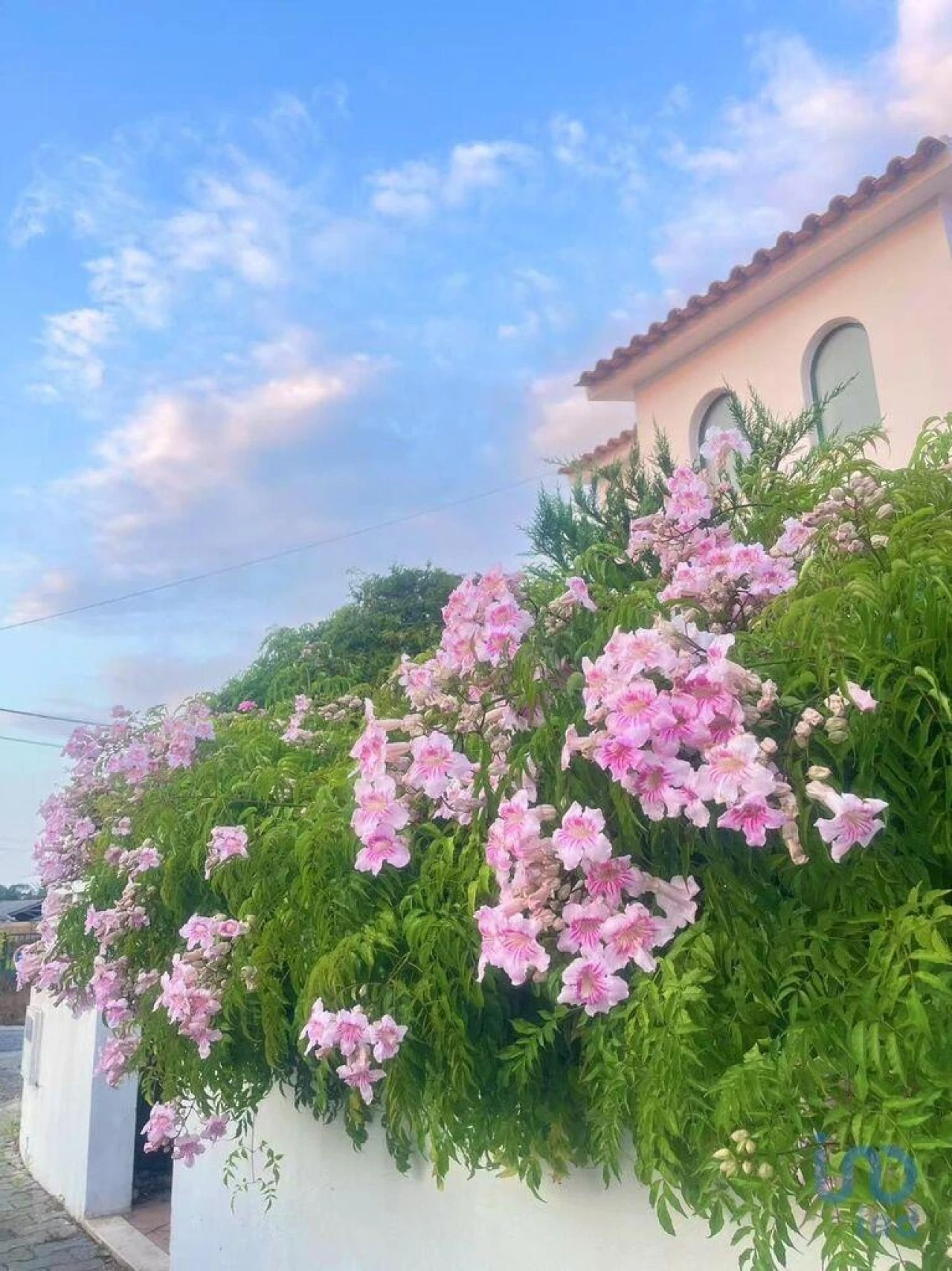 Moradia T4 para Venda em Serra D'El-Rei Foto 4