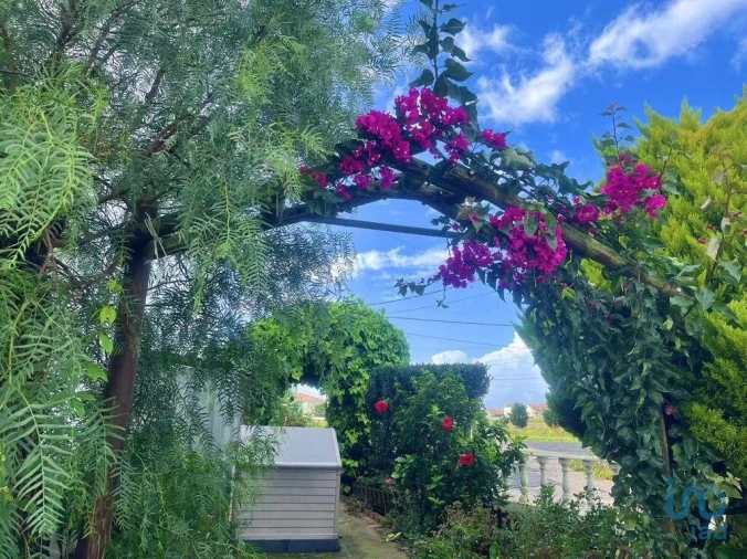 Moradia T4 para Venda em Serra D'El-Rei Foto 6