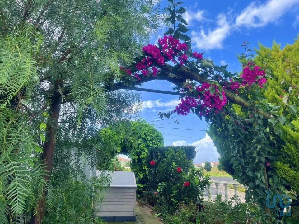 Moradia T4 para Venda em Serra D'El-Rei Foto 6