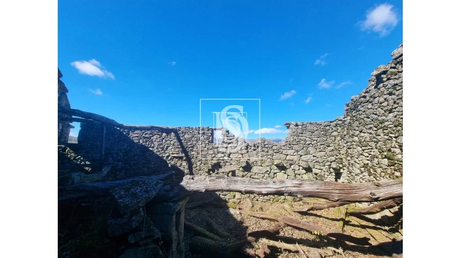 Moradia T3 para Venda em Ruivães e Campos Foto 15