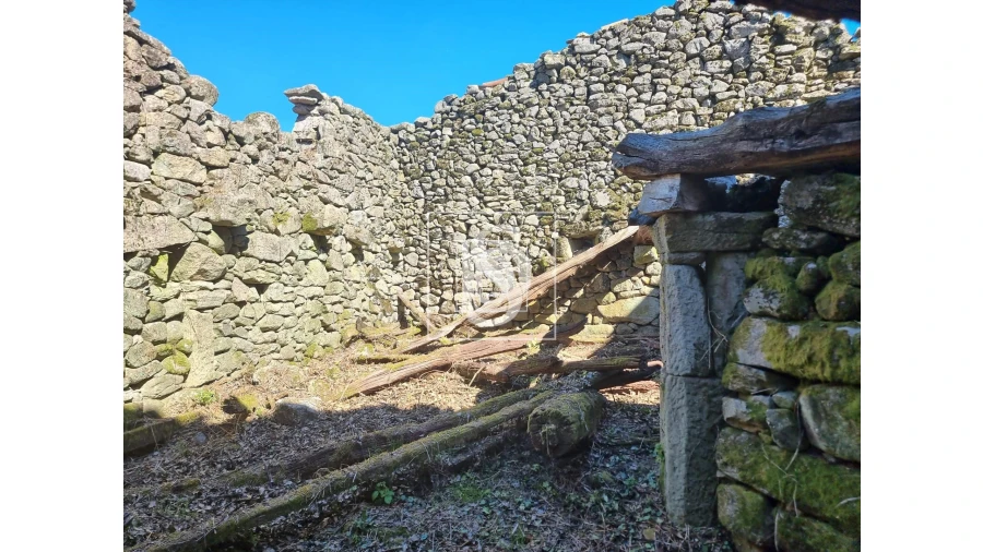 Moradia T3 para Venda em Ruivães e Campos Foto 5