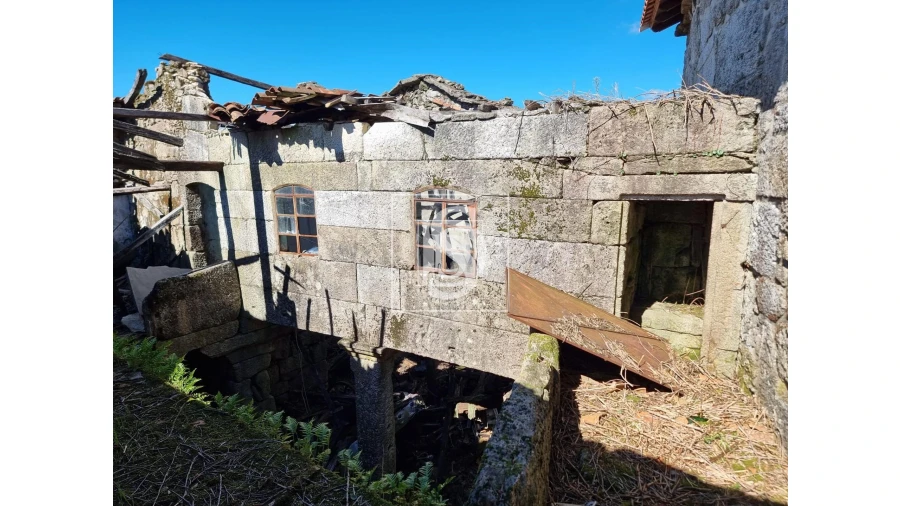 Moradia T3 para Venda em Ruivães e Campos Foto 16