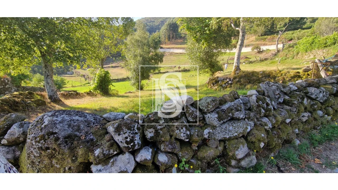 Terreno para Venda em Ruivães e Campos Foto 1