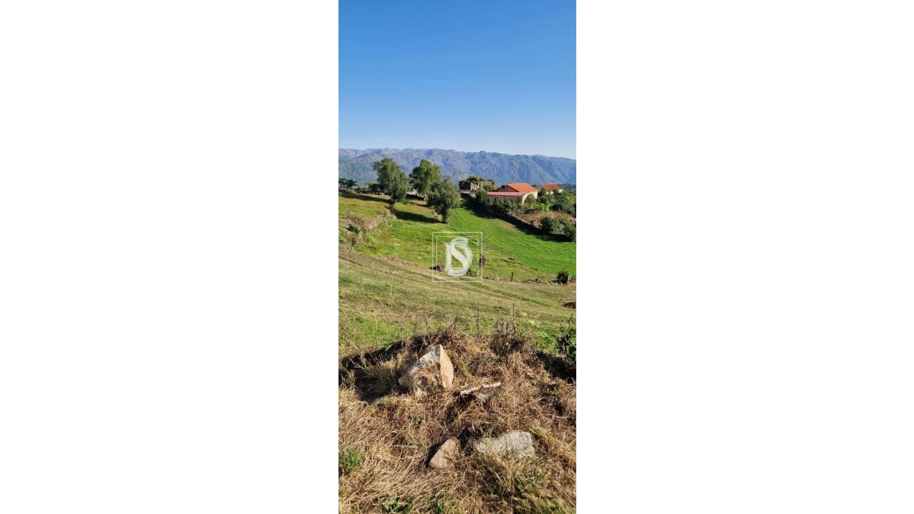 Terreno para Venda em Ruivães e Campos Foto 2