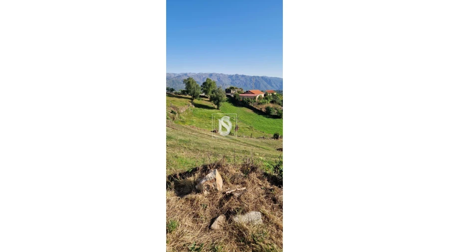 Terreno para Venda em Ruivães e Campos Foto 2