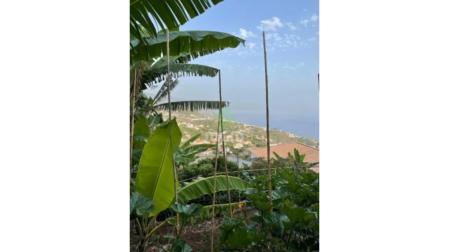 Terreno para Venda em Canhas Foto 3