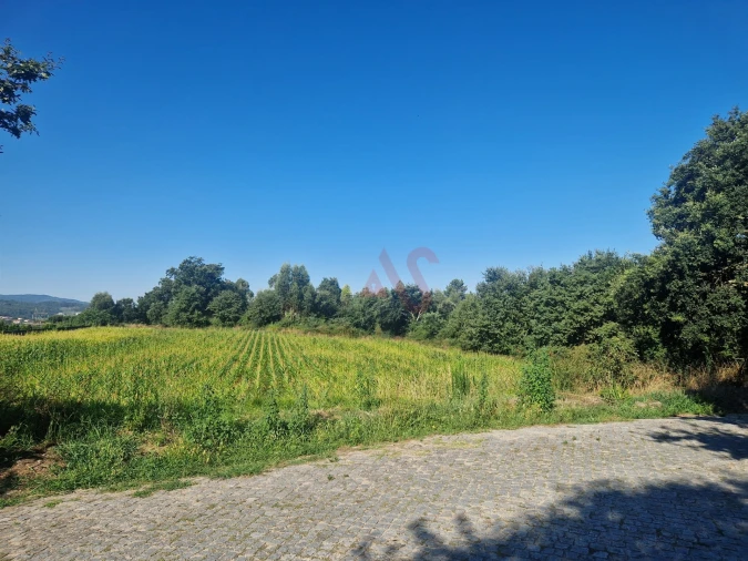 Terreno para Venda em Serzedelo Foto 4