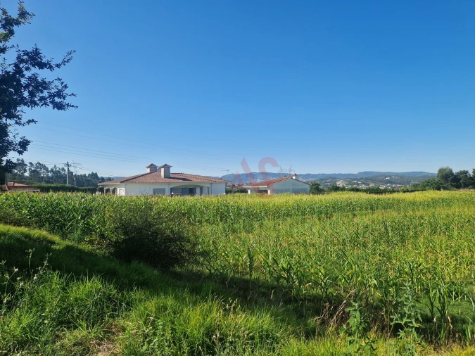 Terreno para Venda em Serzedelo Foto 2