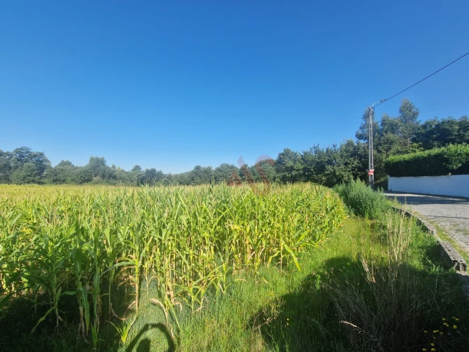 Terreno para Venda em Serzedelo Foto 5