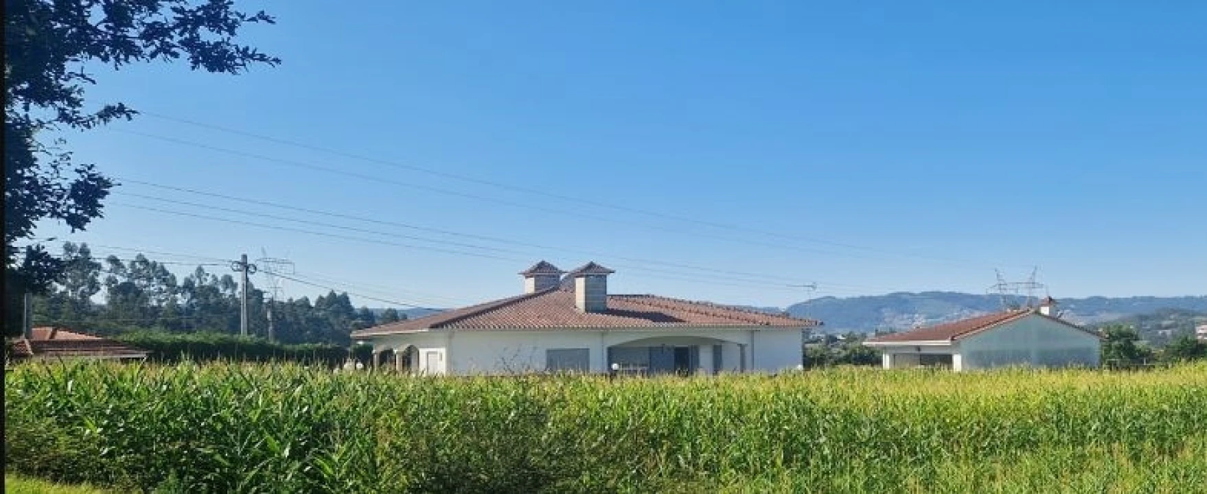 Terreno para Venda em Serzedelo Foto 1