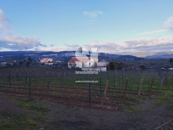 Terreno para Venda em Vilarinho de São Romão Foto 6