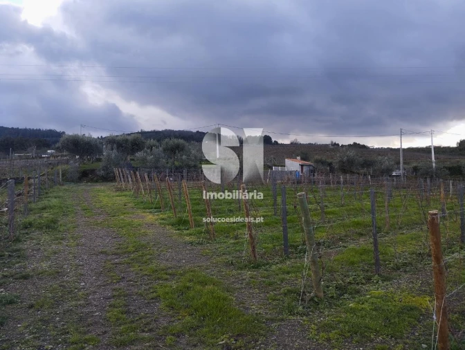 Terreno para Venda em Vilarinho de São Romão Foto 7