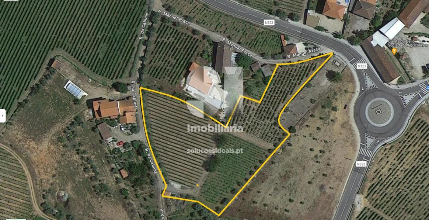 Terreno para Venda em Vilarinho de São Romão Foto 8