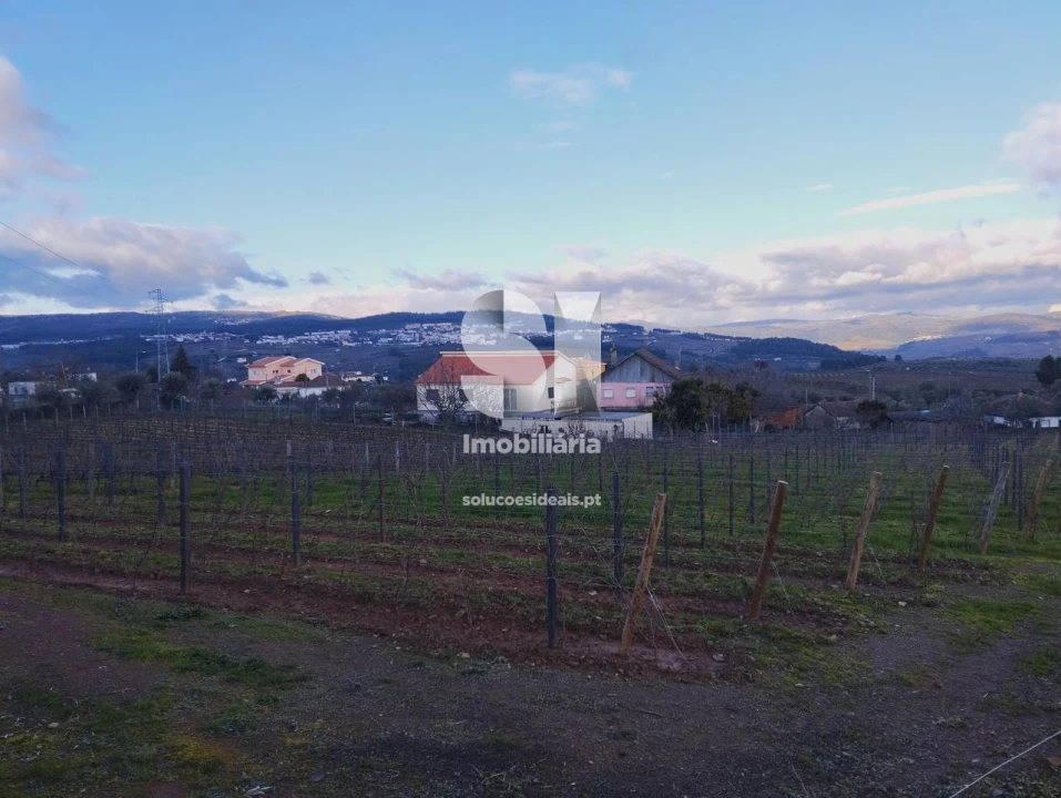 Terreno para Venda em Vilarinho de São Romão Foto 6