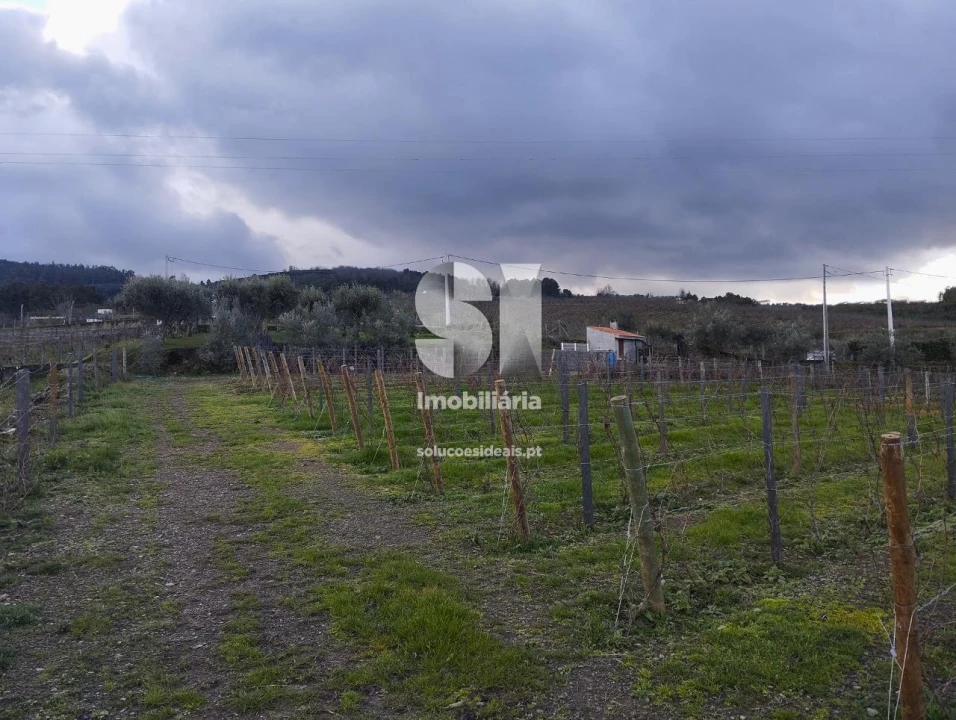 Terreno para Venda em Vilarinho de São Romão Foto 7