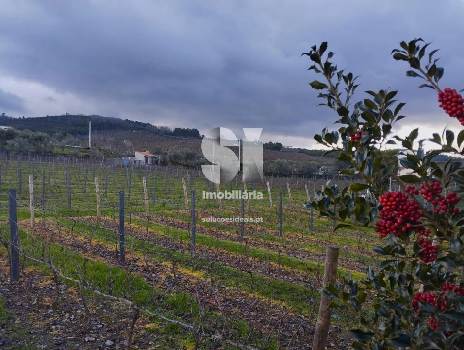 Terreno para Venda em Vilarinho de São Romão Foto 1