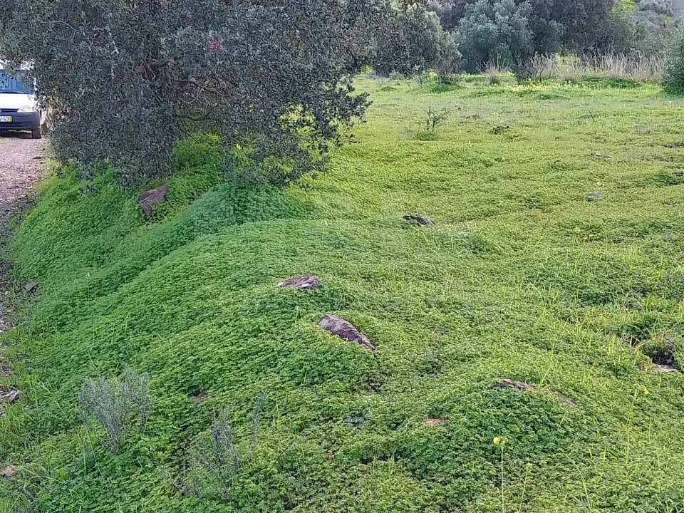 Terreno para Venda em São Brás de Alportel Foto 1