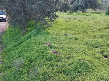 Terreno para Venda em São Brás de Alportel