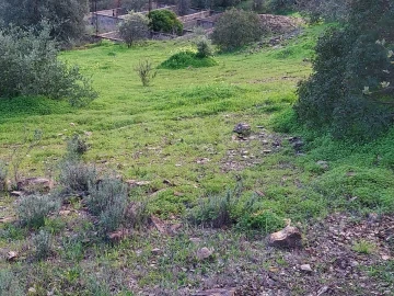 Terreno para Venda em São Brás de Alportel