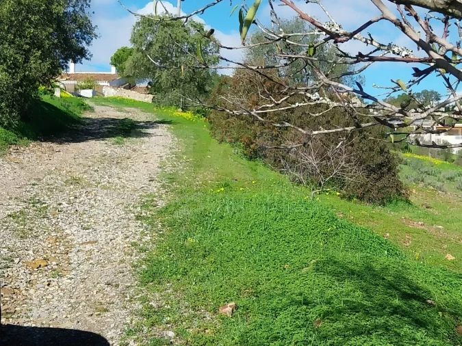 Terreno para Venda em São Brás de Alportel Foto 2
