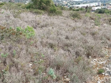 Terreno para Venda em Loule (São Clemente)