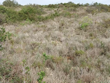 Terreno para Venda em Loule (São Clemente)