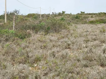 Terreno para Venda em Loule (São Clemente)