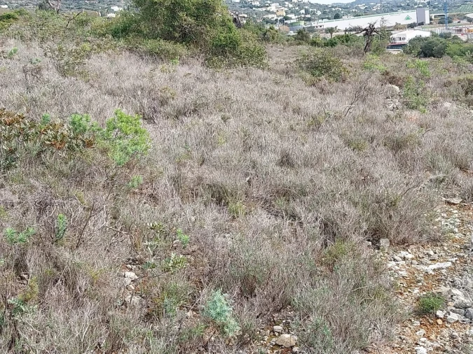 Terreno para Venda em Loule (São Clemente) Foto 8