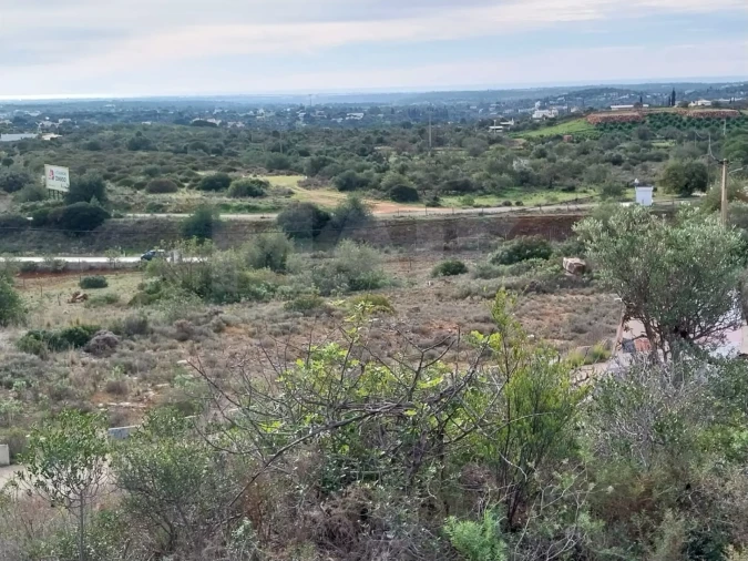 Terreno para Venda em Loule (São Clemente) Foto 4