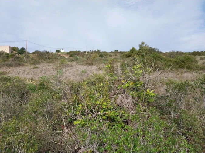 Terreno para Venda em Loule (São Clemente) Foto 3