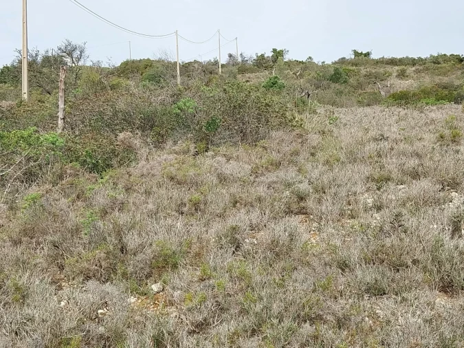Terreno para Venda em Loule (São Clemente) Foto 11