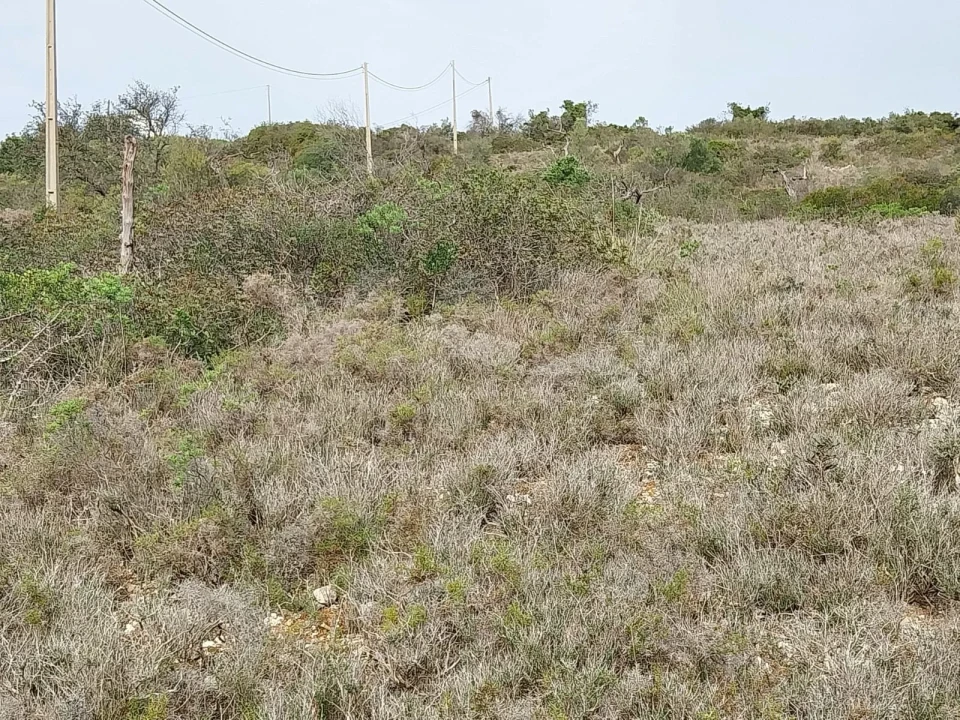 Terreno para Venda em Loule (São Clemente) Foto 11