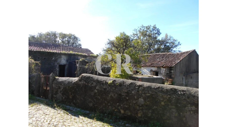 Moradia T5 para Venda em Pussos São Pedro Foto 3