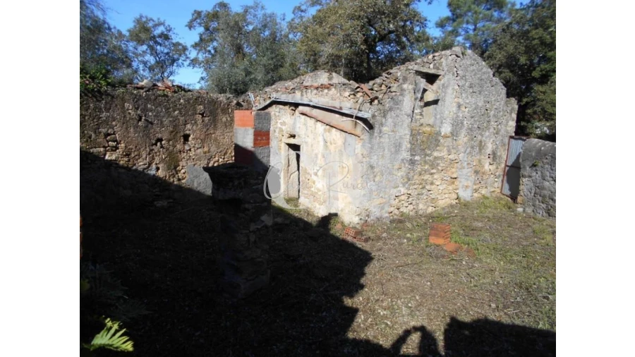 Moradia T5 para Venda em Pussos São Pedro Foto 16