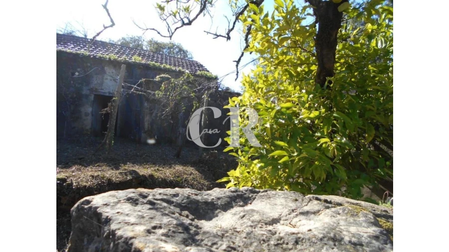 Moradia T5 para Venda em Pussos São Pedro Foto 13